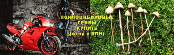 apvp Приозерск