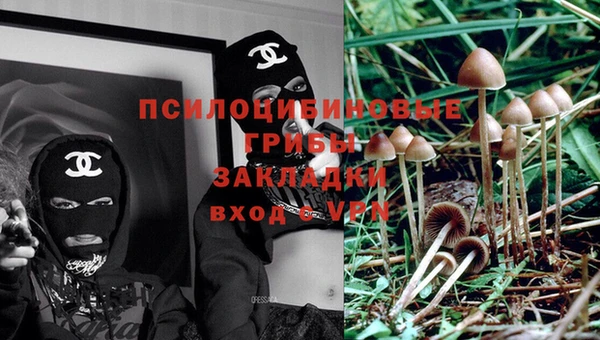 каннабис Балахна